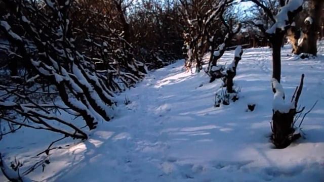 САМВЕЛ АДАМЯН КЕКСЫ С ШЕРСТЬЮ КОТА ЗА 1000 ГРИВЕН. НАЛЕТАЙ НЕ СКУПИСЬ смотреть онлайн