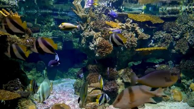 Как простить / Nikosho смотреть онлайн