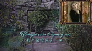 "Один раз в год сады цветут"   amateur remix, cover, Chinese translation