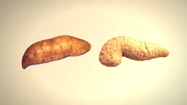 Овощи и фрукты похожи на внутренние органы человека смотреть онлайн