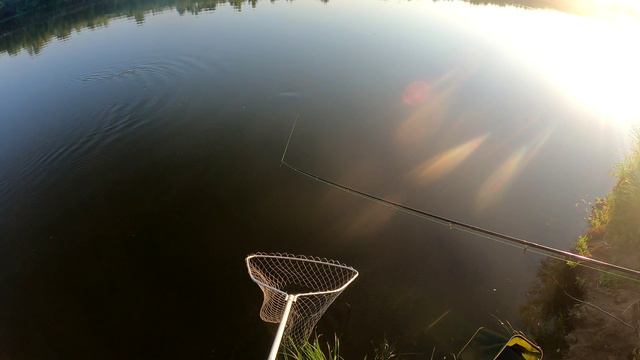 Сазан на Ахтубе.mp4 смотреть онлайн