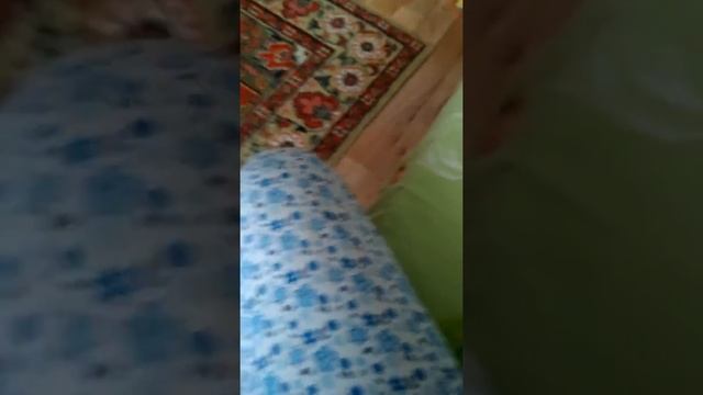 Одежда Басика часть 1 смотреть онлайн