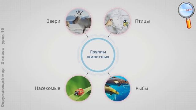 Окружающий мир 2 класс (Урок№16 - В гости к зиме.) смотреть онлайн