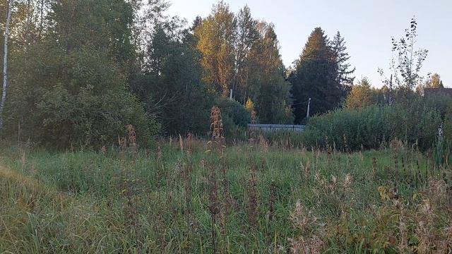 зу :2476 д. Вертлино смотреть онлайн