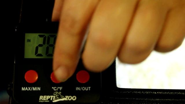 Эублефары. Содержание и уход смотреть онлайн