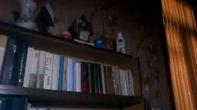 🎻O'ZBEGIM 📖 Erkin Vohidov Qasidasi 🎶 SHerali Jo'raev Ijrosi