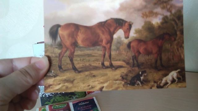 Посткроссинг. Открыточки за май 2022 года. 2 часть. смотреть онлайн