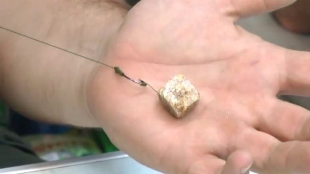 Хвост чешуя 10 Рыбалка в Астрахани Выпуск от 15 06 13 смотреть онлайн