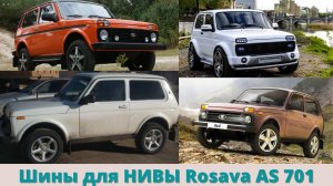 Шины для НИВЫ. Всесезонные шины Rosava AS - 701