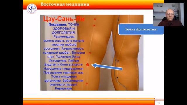 Точка Жизни Цзу Сань Ли E36 смотреть онлайн