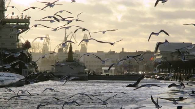 Пусть я не разгадал чудес.... смотреть онлайн