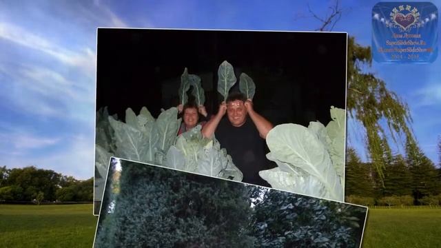 В память о нашей любимой, Мамочке! Видеоролик на заказ смотреть онлайн