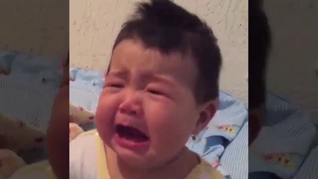 жылауык жаным , ботам Жанерке