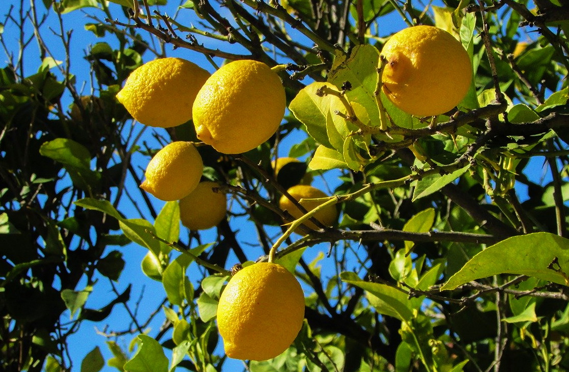 Туристический поход по Ликийской тропе (8 серия). смотреть онлайн