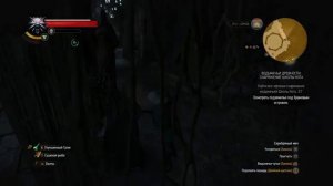 Ведьмак 3: Дикая Охота Осмотреть подземелья под храмовым островом