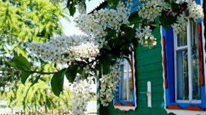 Под окном черемуха колышется