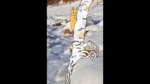 Береза Шмидта