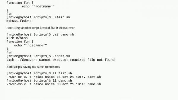 Linux Bash Shell Script Error: cannot execute: required file not found