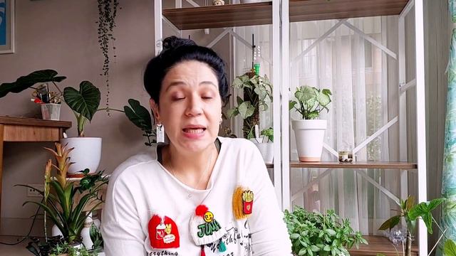 A'dan Z'ye Varyeteli Bitkiler - Bitki Aşıkları İçin 😍🌿💚// #bitkibakımı #bitki #tropikal смотреть онлайн