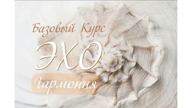 Интервью с Авророй о курсе Эхо смотреть онлайн