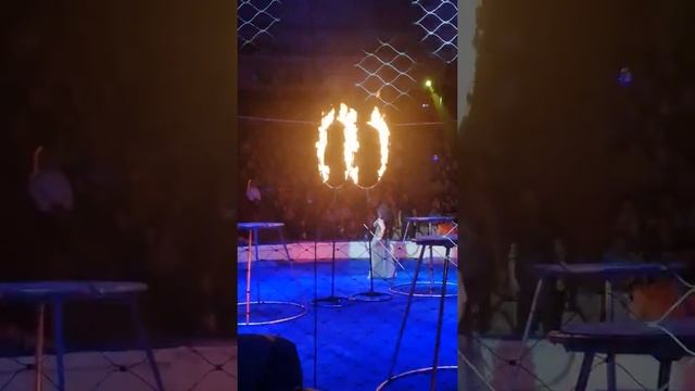 Цирк в КЕМЕРОВО смотреть онлайн