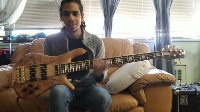 Spector Euro5lx Bartolini/EMG comparison смотреть онлайн