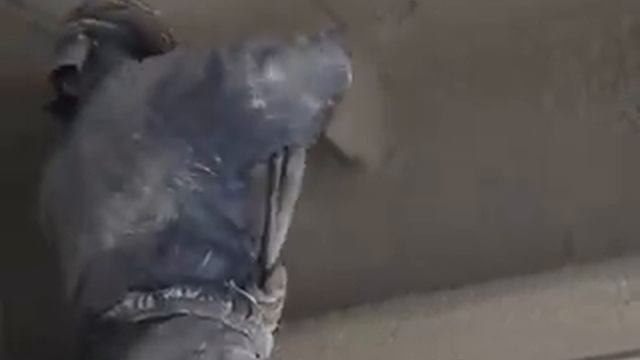 video2.mpeg смотреть онлайн