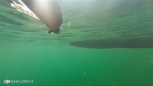 Подводная охота Увильды.