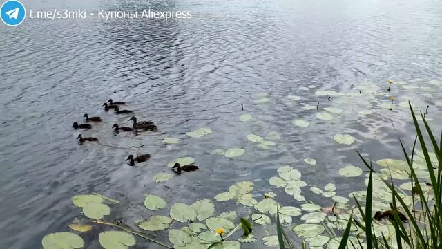 ПЛЮСЫ и МИНУСЫ Realme GT 5G ОБЗОР СМАРТФОНА 2021 С ALIEXPRESS смотреть онлайн