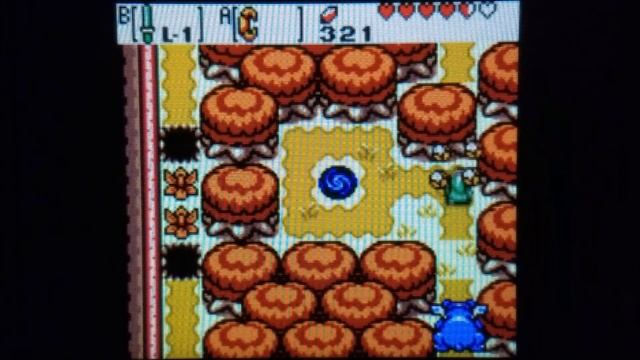 Zade's Element: The Legend of Zelda: Oracle of Season Chapter 5 смотреть онлайн