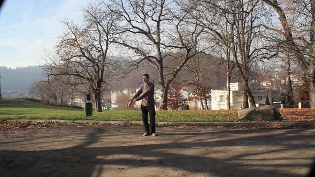 ТАЙЦЗИ ЯН 108 ФОРМ 2 ЧАСТЬ целиком смотреть онлайн