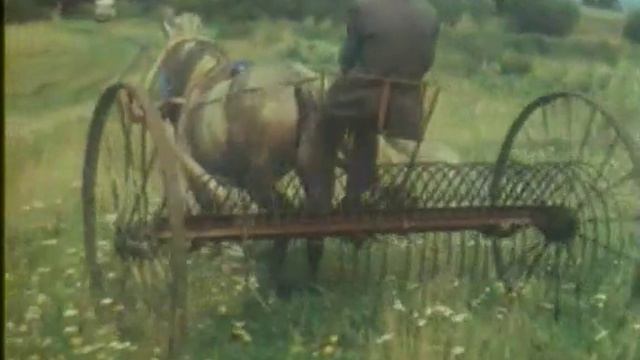 Клуб путешественников / Выпуск № 1440 Ю.Сенкевич 1989 г смотреть онлайн