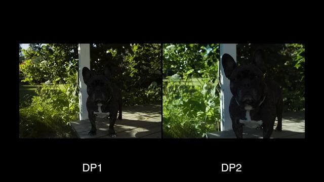 Cheap Camera Review - 5 Reasons to Buy the Sigma DP2 смотреть онлайн