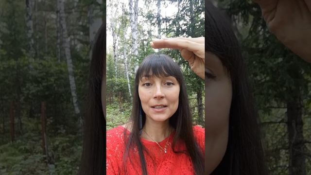 Мама и папа бьют в разные ворота. Что делать? смотреть онлайн