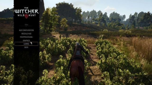 THE WITCHER 3 - NVIDIA GTX 970 - ULTRA SETTINGS - NO HAIRWORKS/AA смотреть онлайн