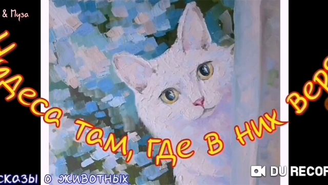 Чудеса там, где в них верят--рассказ--автор Татьяна Пахоменко смотреть онлайн