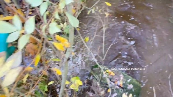 This Water Would Wipe The Road.