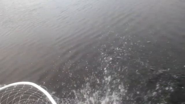 Лодка Аква 2800+Sea-pro 2.5 лс 2 такта смотреть онлайн