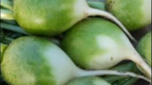 Строительные Загадки