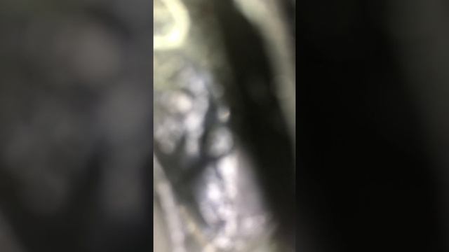 10 ноября 2021 г. смотреть онлайн