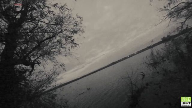 Охота на серую утку.Один выстрел две утки. Дробь №7.Серый гусь. смотреть онлайн