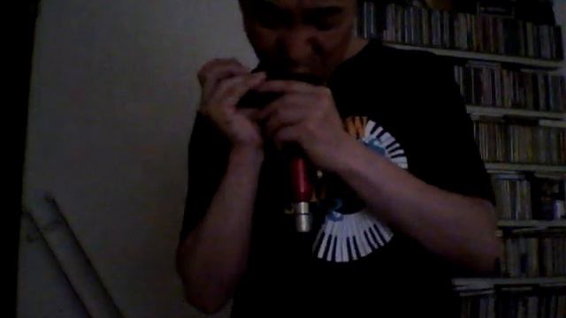 The Summer Konws - Bass Chromatic Harmonica смотреть онлайн