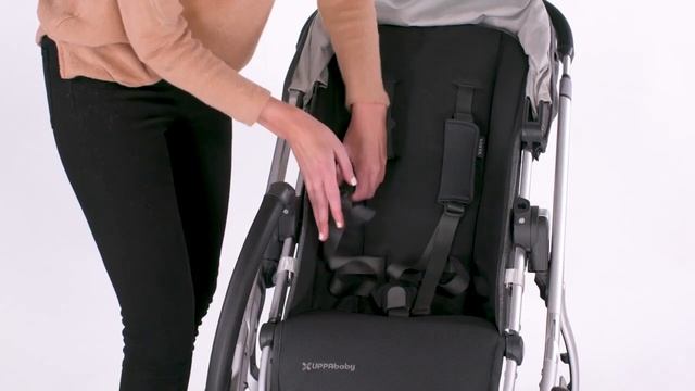 Коляска UPPABaby Cruz V2 регулировка ремней смотреть онлайн