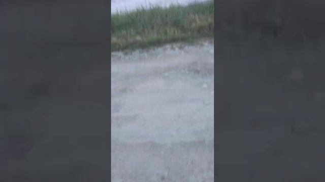 время 6 утра, какие-то шары мешают спать смотреть онлайн