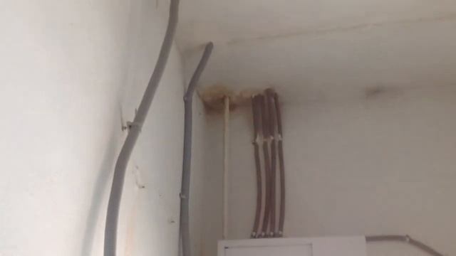 25.03.2016. На крыше тает снег и с потолка в подъезде льётся вода. Лужа с 9 до 6 этажа. смотреть онлайн