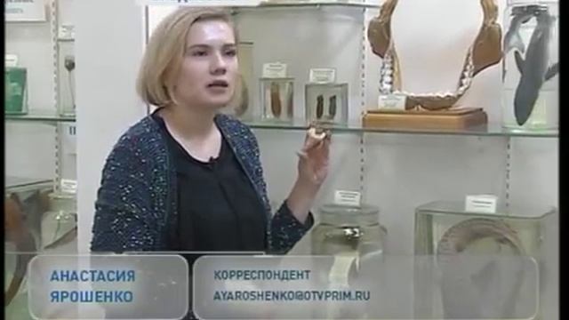 Зубы с криминальным прошлым попали в один из университетов Приморья смотреть онлайн