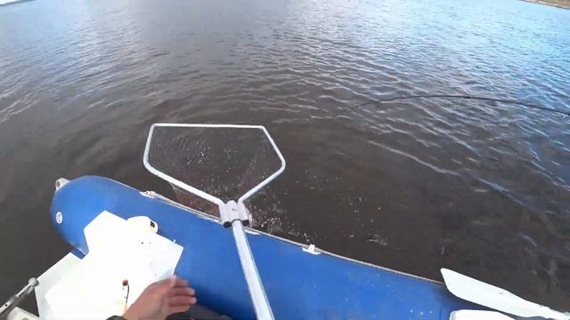 ТРОЛЛИНГ ВОЗЛЕ ДОМА!!! РЫБАЛКА В ЦЕНТРАЛЬНОЙ ЯКУТИИ!!! РЫБАЛКА С ЛОДКИ!!! смотреть онлайн