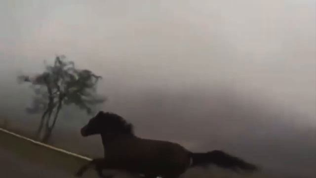 My name is Giovanni Giorgio but. Guess who won (Джованни Джорджио) смотреть онлайн