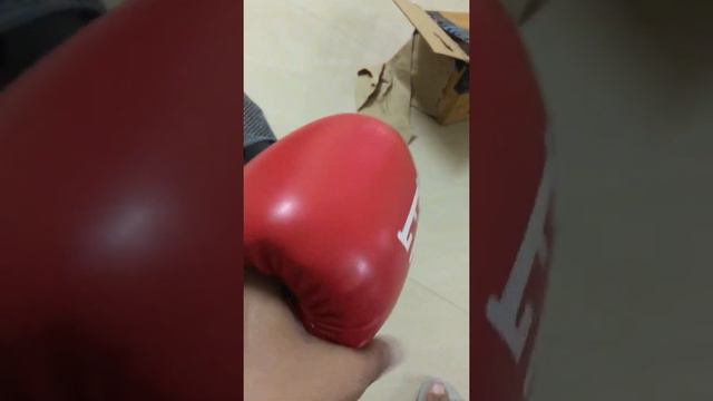 14 oz Everlast boxing gloves смотреть онлайн