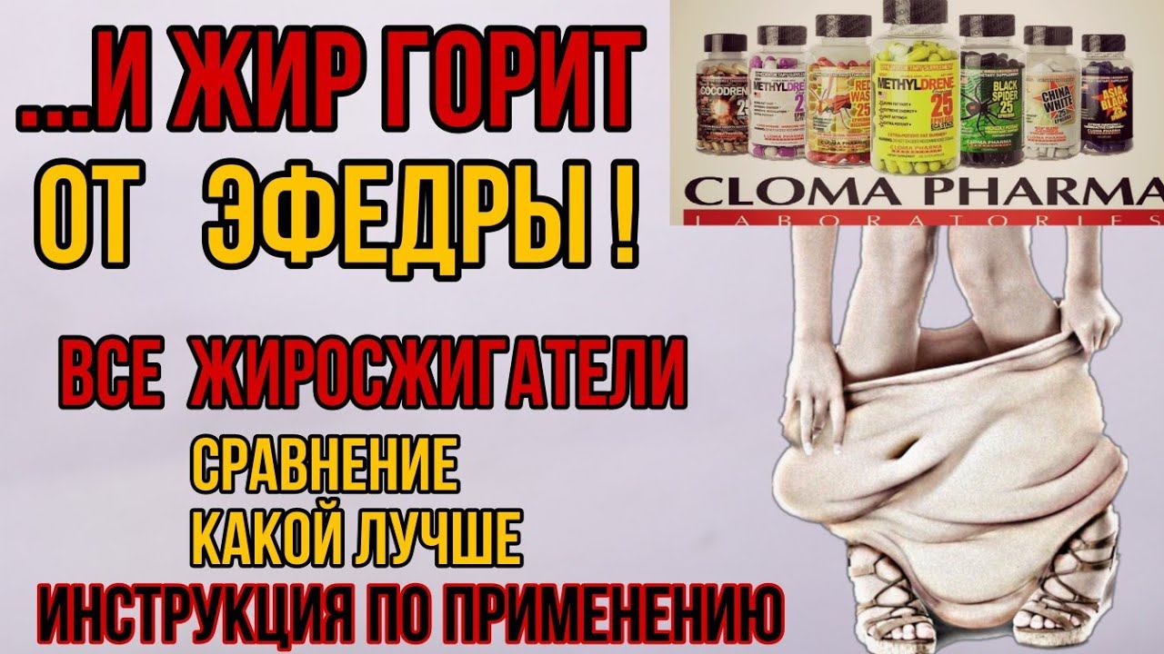 Какой выбрать жиросжигатель для похудения? Лучшие с ЭФЕДРИНОМ Купить Cloma Pharma Цена Отзывы Состав смотреть онлайн